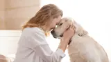 Woman cuddling her Labrador dog.