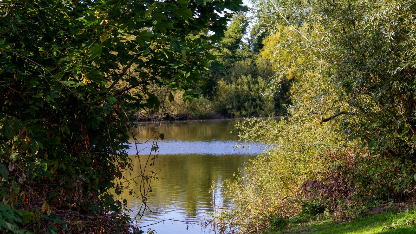 A sunny autumn day in a Crawley park